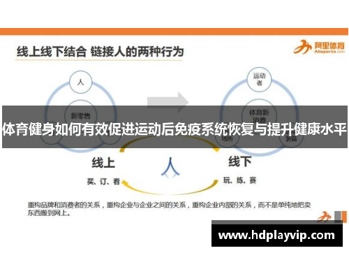体育健身如何有效促进运动后免疫系统恢复与提升健康水平